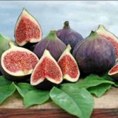 Casa vacanze Simona *