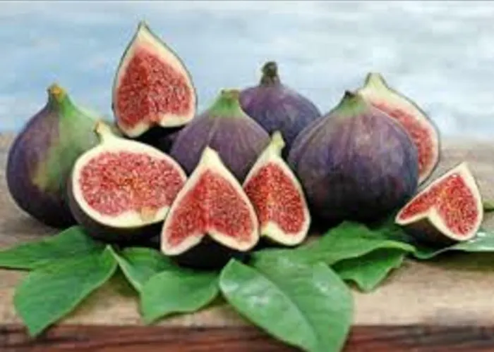 Casa vacanze Simona *